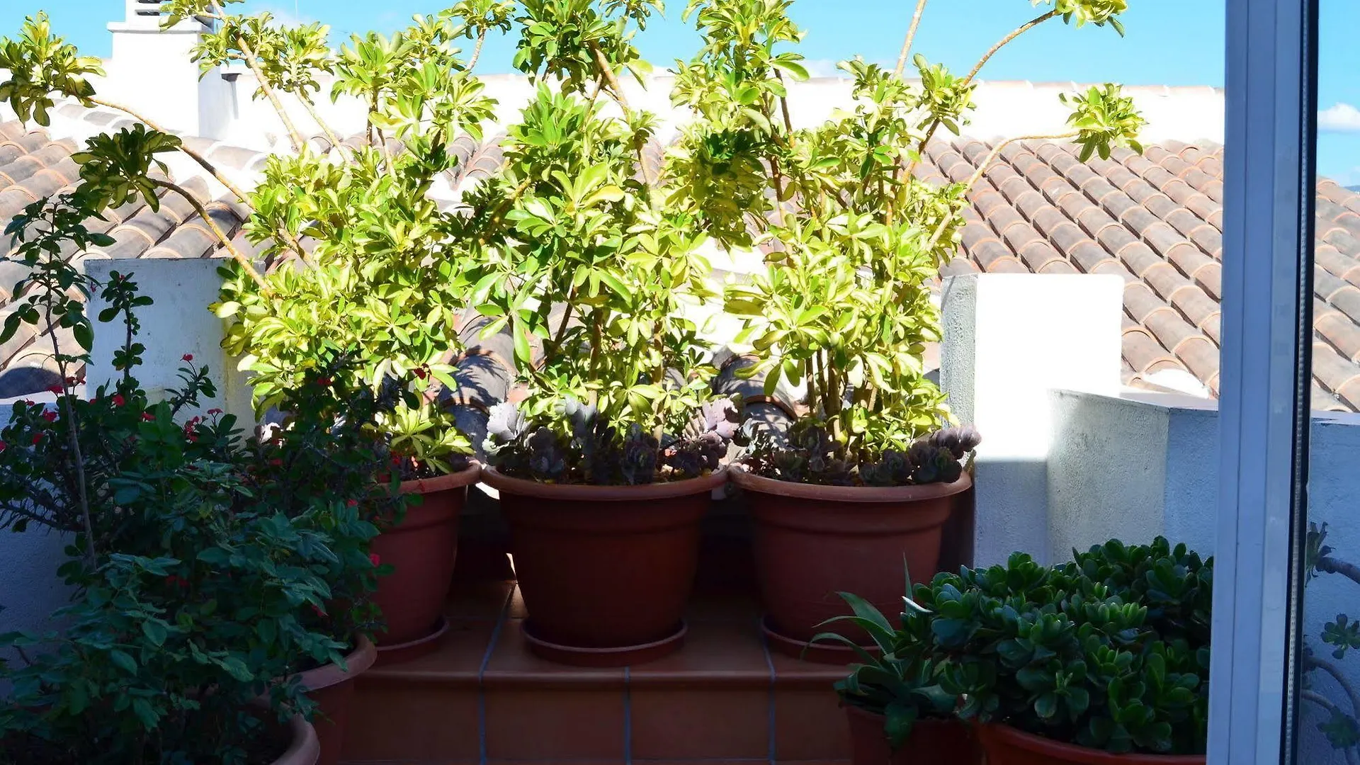 Lägenhet Apartamentos San Pablo Málaga Spanien